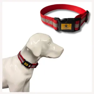 A a Pets' Reflective Dog Collar for Community Dogs (Set of 5)
