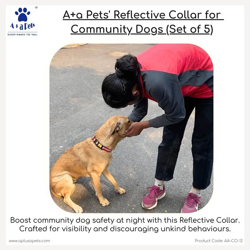 A a Pets' Reflective Dog Collar for Community Dogs (Set of 5)