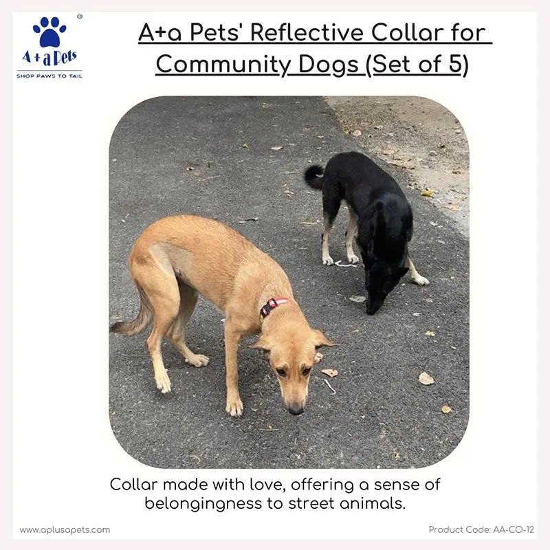 A a Pets' Reflective Dog Collar for Community Dogs (Set of 5)