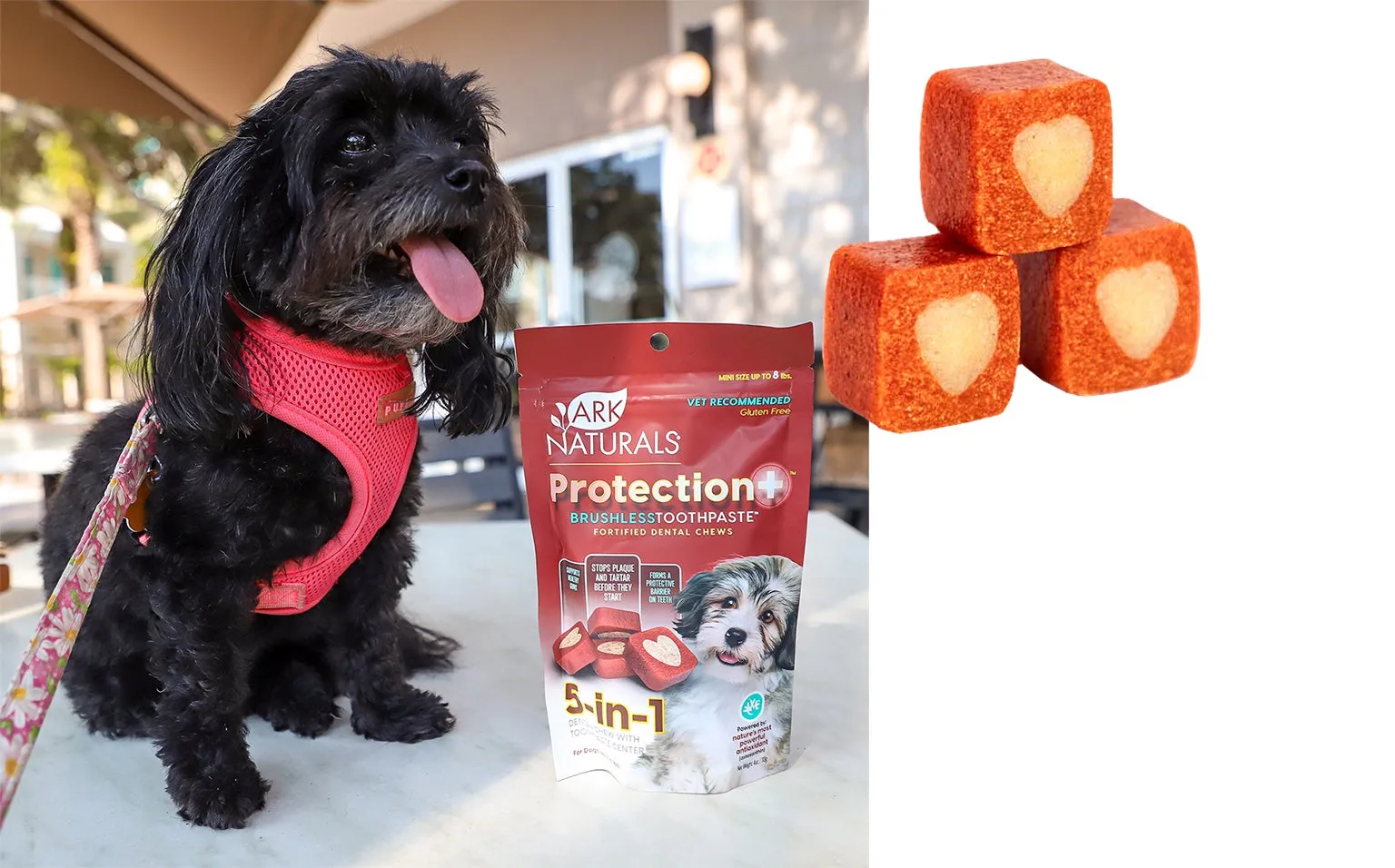 Ark Naturals Protection  Brushless Toothpaste Dental Chews for Dogs