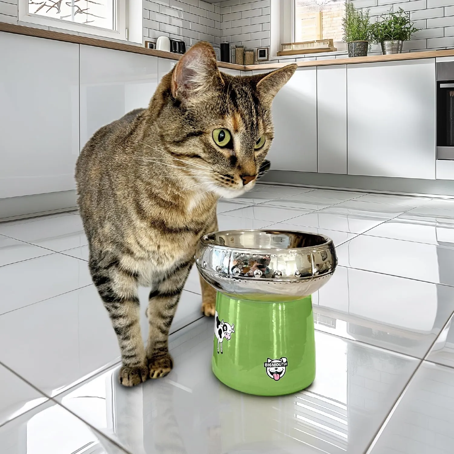 BigMouth Inc UFO Elevated Cat Bowl - Raised Cat Bowl for Cat, Small Dog - Ceramic Food Bowls - Lifted Pet Feeding Bowl - Water Bowl
