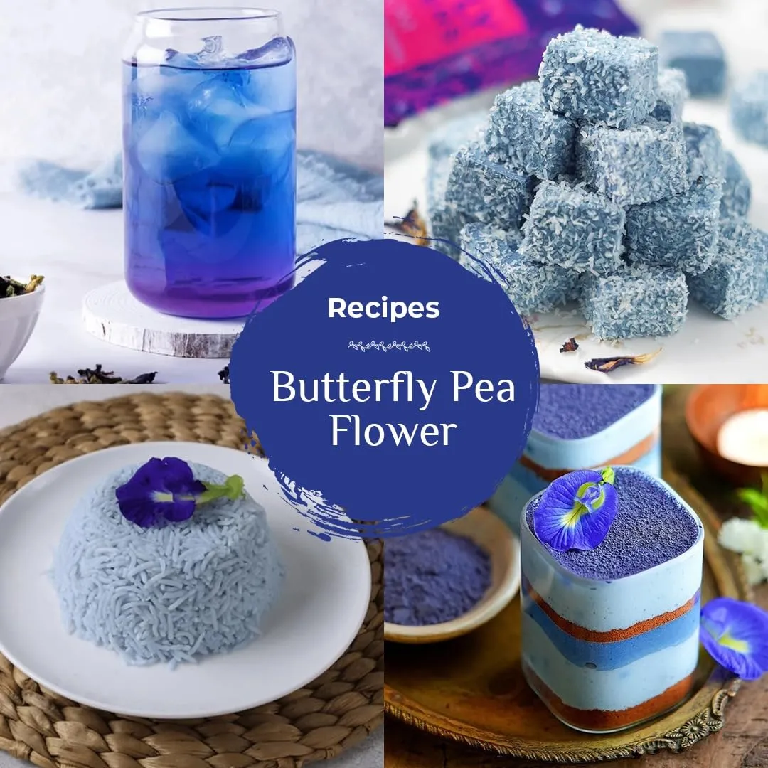 BLUE TEA - Butterfly Pea Flower Herbal Tea (1.76 Oz) | DETOX TEA | Iced Teas, Coolers, Cocktails | Caffeine Free - Gluten Free - Non-GMO | Pet Jar Pack