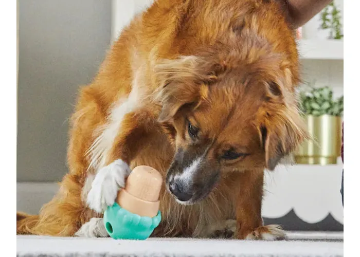 Brightkins - Large Ice Cream Cone Treat Dispenser (For Dogs)