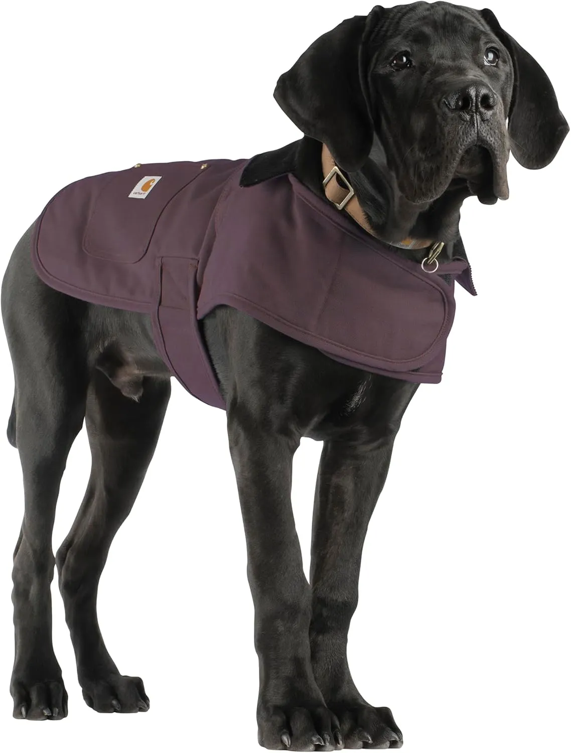 Carhartt Firm Duck Insulated Dog Chore Coat, Deep Wine, Small