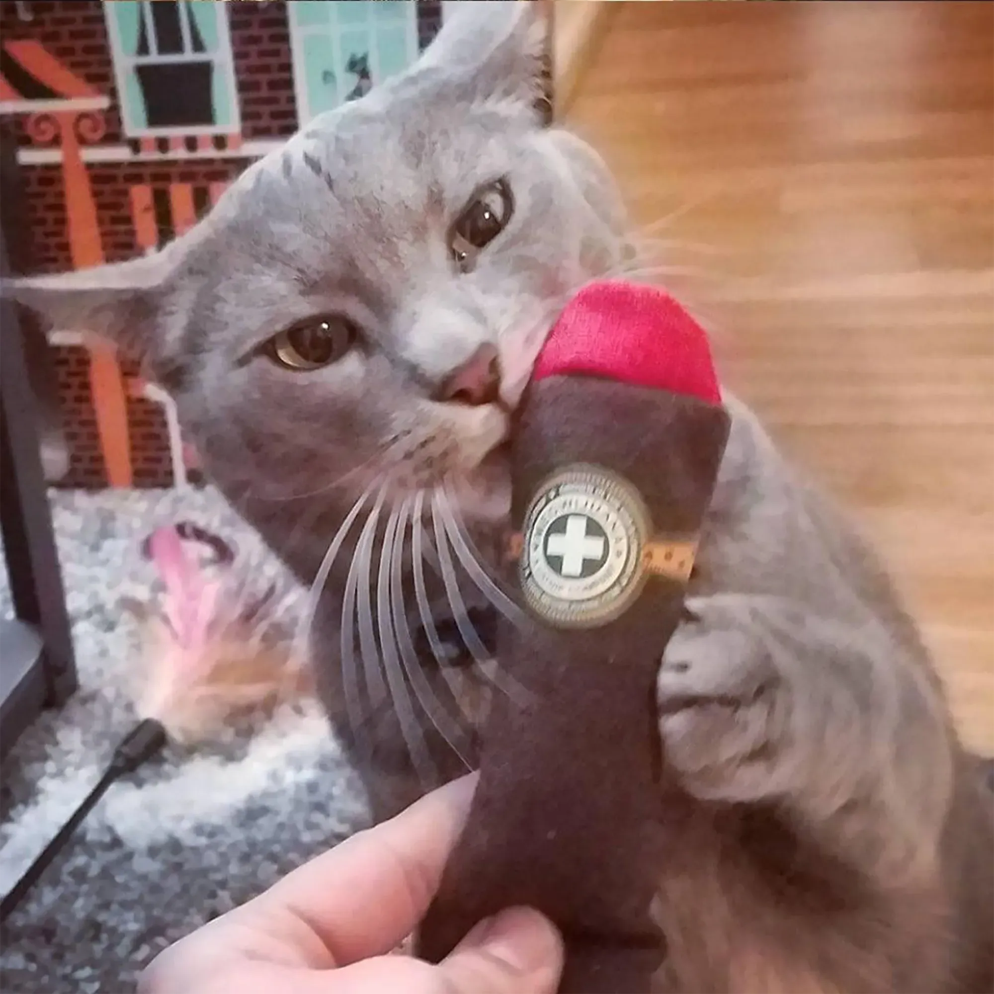 Catnip Cigar - Catnip & Valerian Root Filled Cat Toy