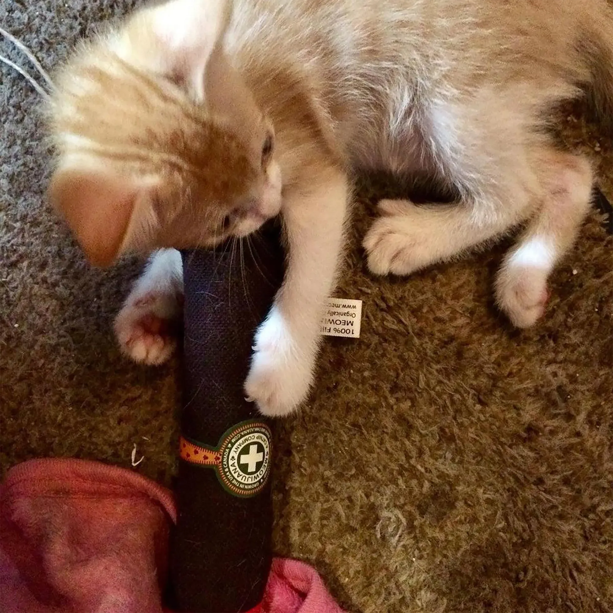 Catnip Cigar - Catnip & Valerian Root Filled Cat Toy