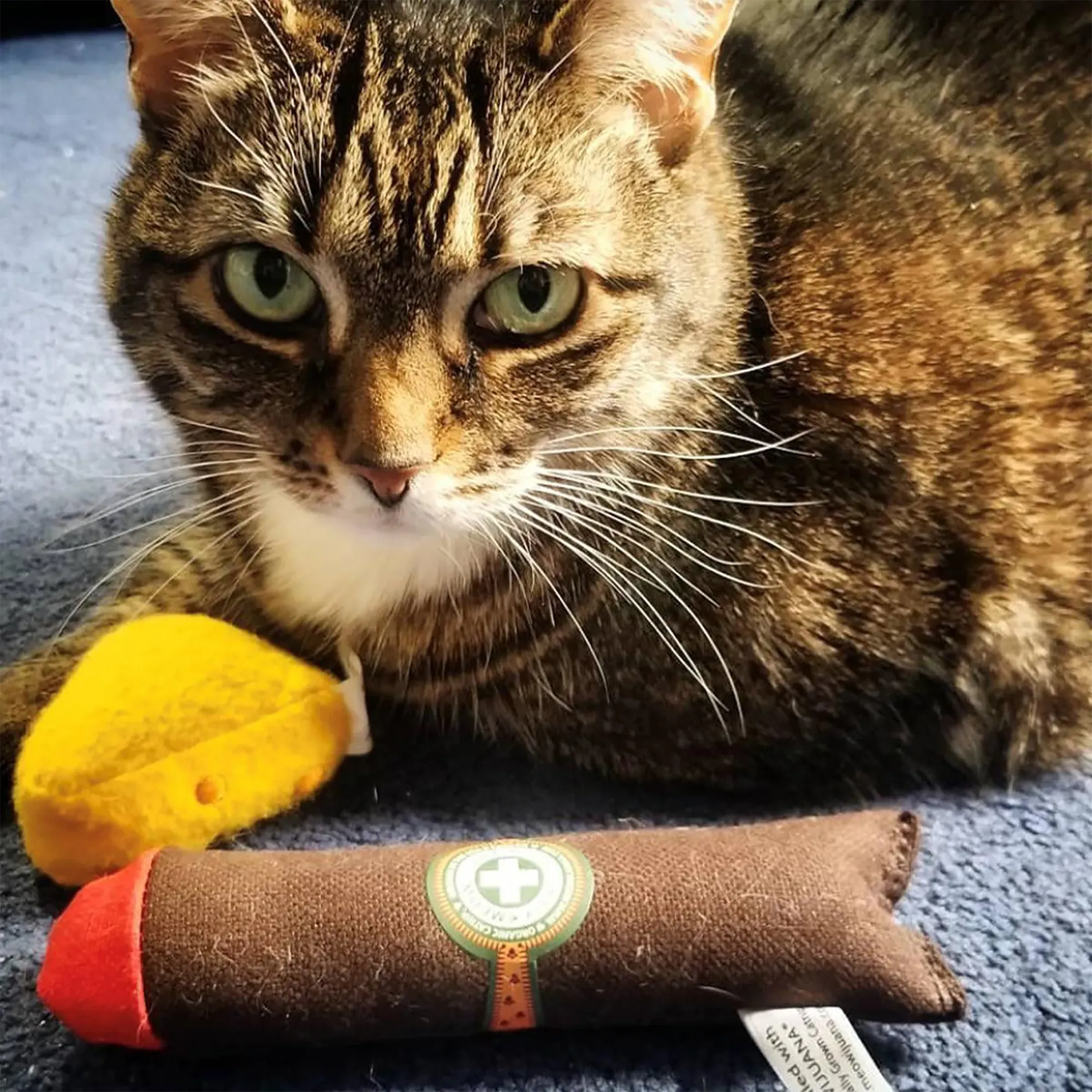 Catnip Cigar - Catnip & Valerian Root Filled Cat Toy