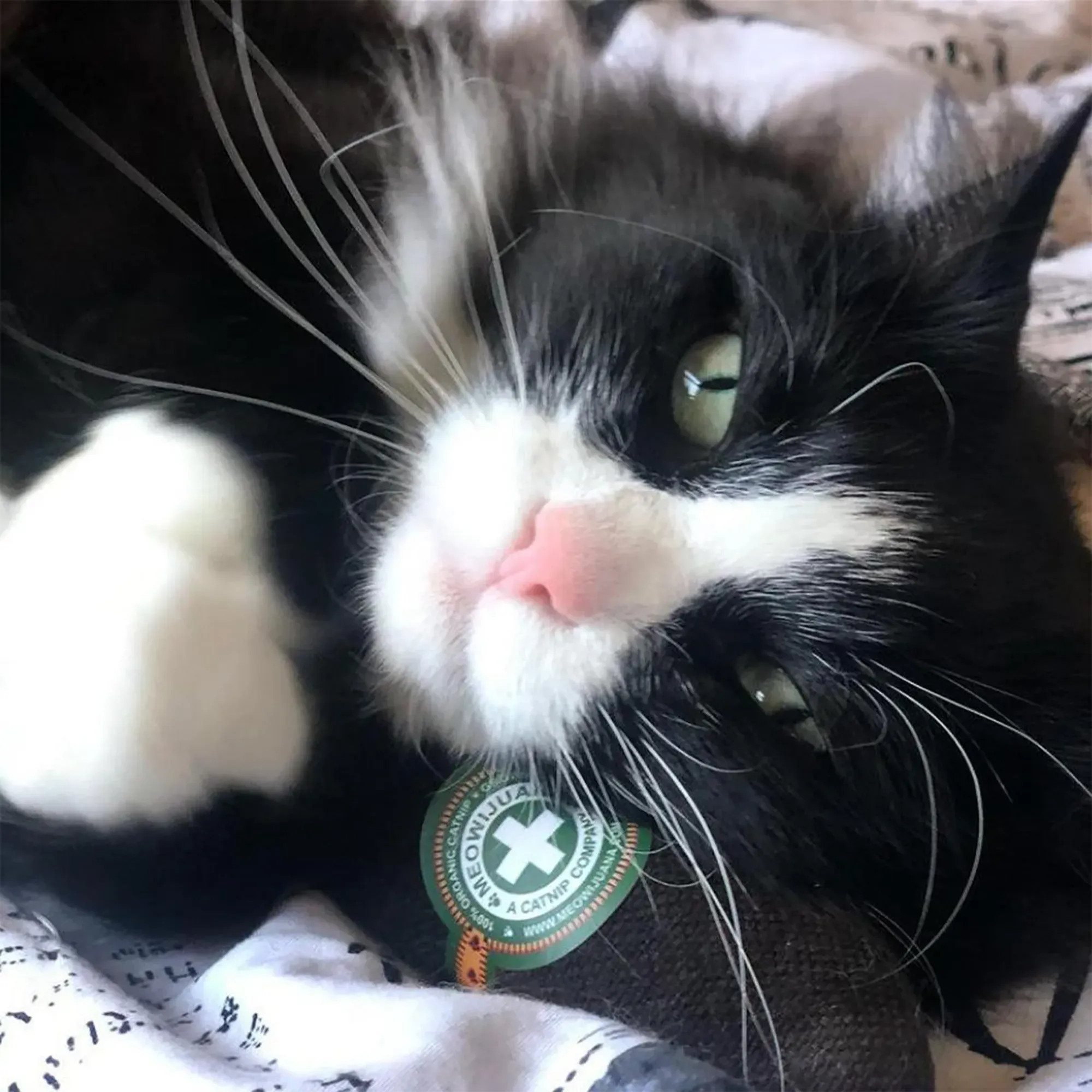 Catnip Cigar - Catnip & Valerian Root Filled Cat Toy