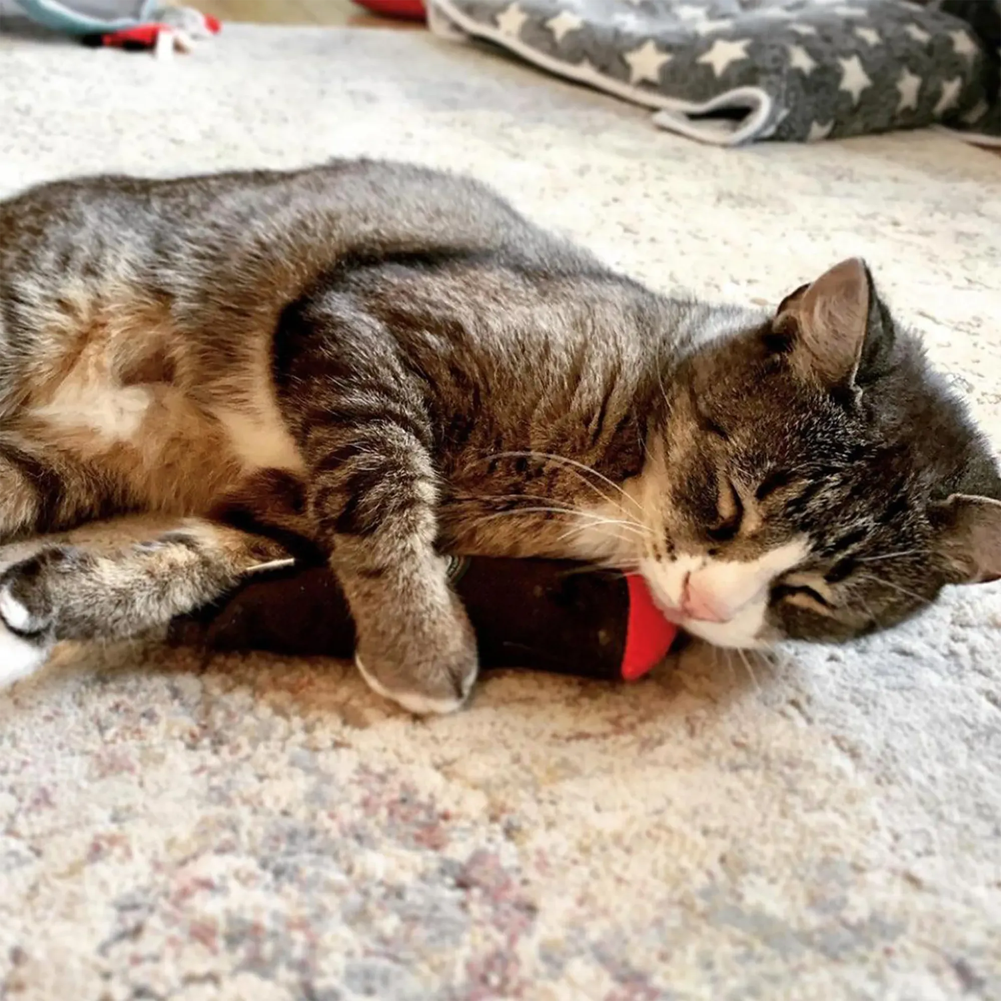 Catnip Cigar - Catnip & Valerian Root Filled Cat Toy