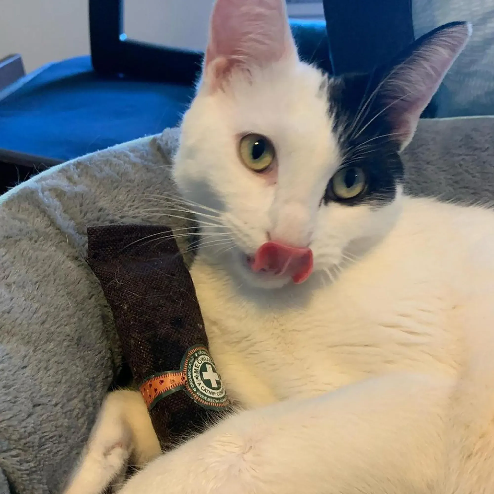 Catnip Cigar - Catnip & Valerian Root Filled Cat Toy