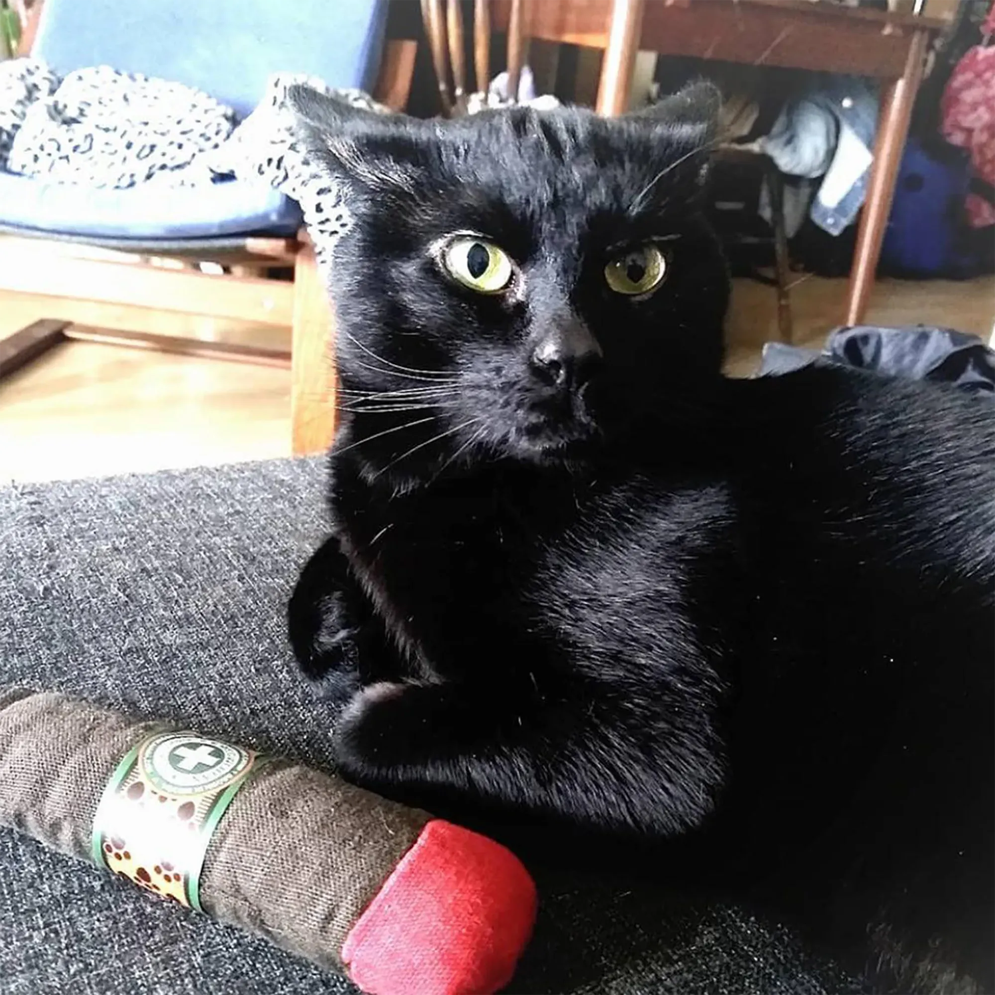 Catnip Cigar - Catnip & Valerian Root Filled Cat Toy