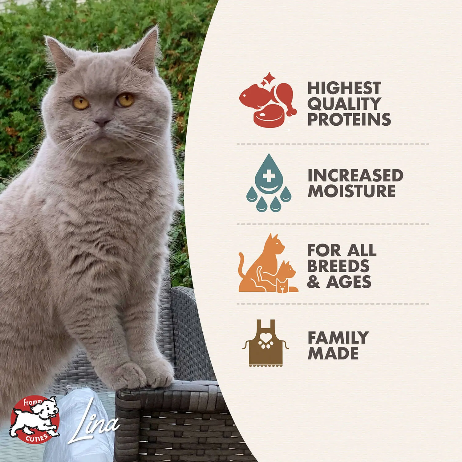 Fromm 4 Star Chicken Duck & Salmon Pate Canned Cat Food