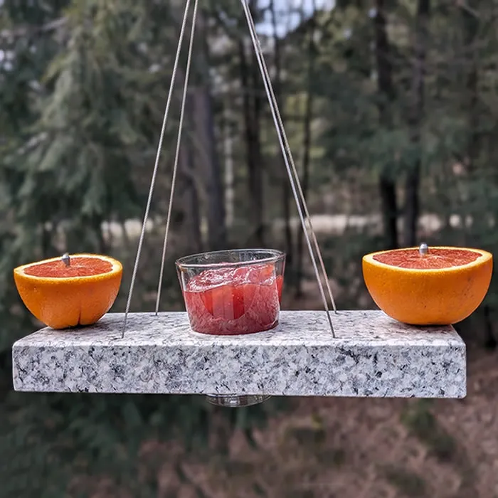 Fruitful Oriole Orange & Jelly Feeder