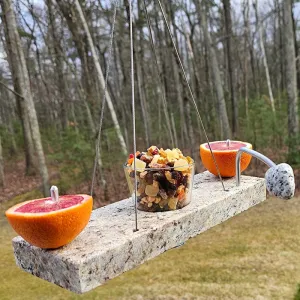 Fruitful Oriole Orange & Jelly Feeder