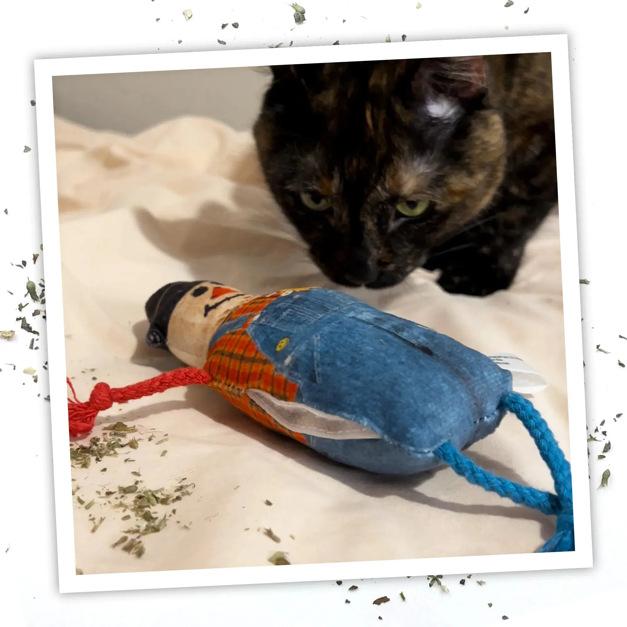 Get Spooked Scarecrow Refillable Cat Toy