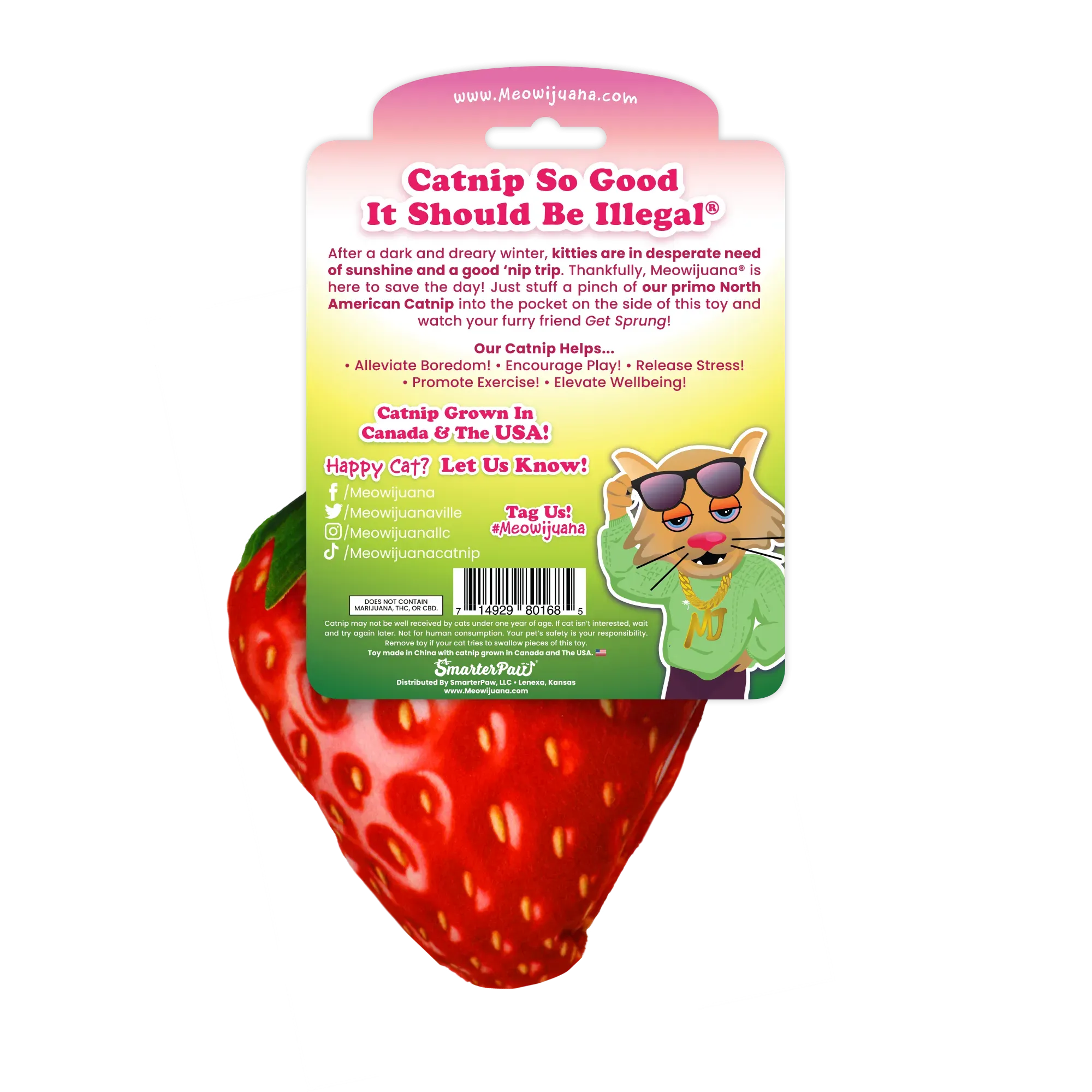 Get Sprung Strawberry Refillable Cat Toy