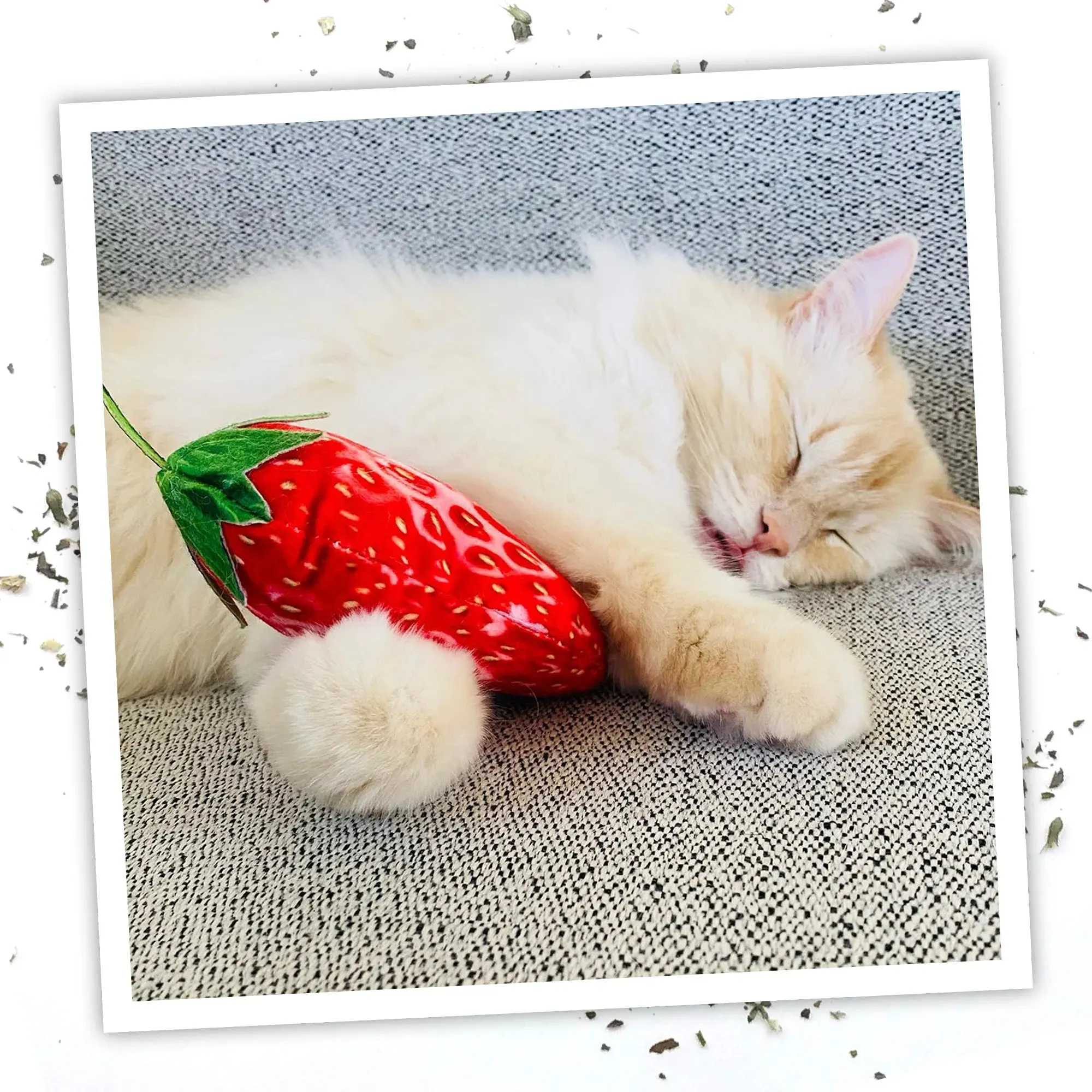 Get Sprung Strawberry Refillable Cat Toy