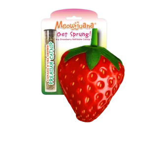 Get Sprung Strawberry Refillable Cat Toy