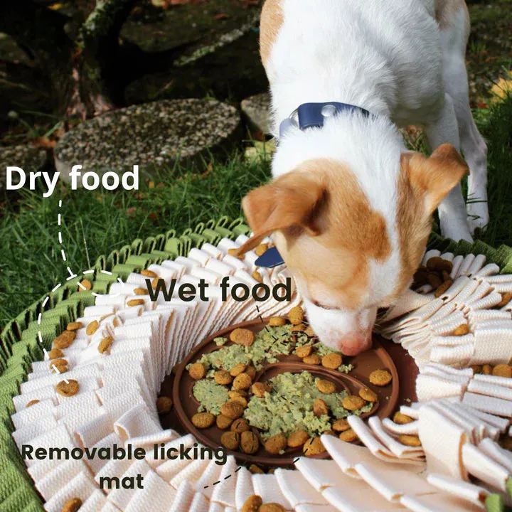 Injoya Blue & Orange Cookie Snuffle Mat For Dogs