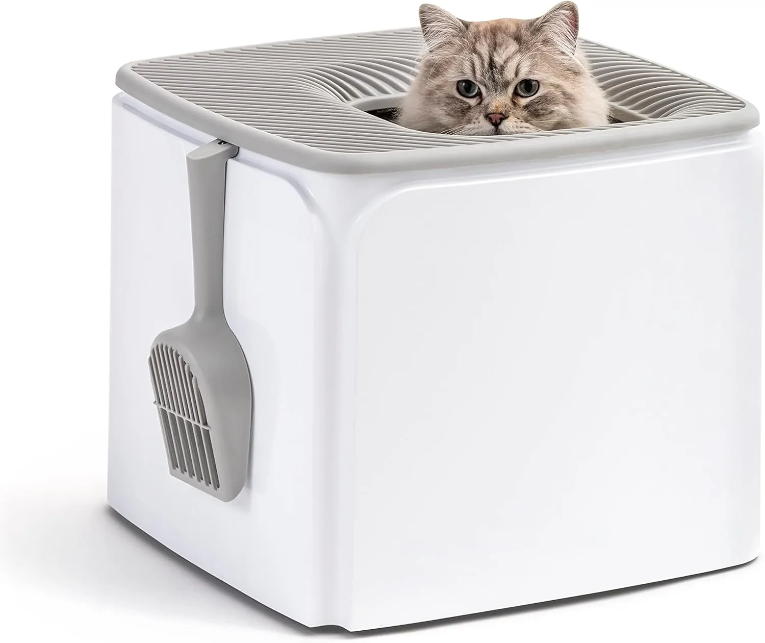 IRIS USA Premium Top Entry Cat Litter Box with Scoop, Square Enclosure for Cat and Kitty, White/Gray
