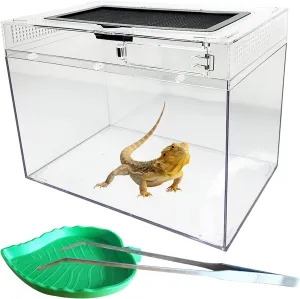 kathson Reptile Feeding Box Lizard Tank Enclosure Hermit Crab Habitat Reptile Terrarium with Tweezer Bowl for Frog Spider Gecko Tarantulas 11.8x7.08x8.66 Inch (Large)