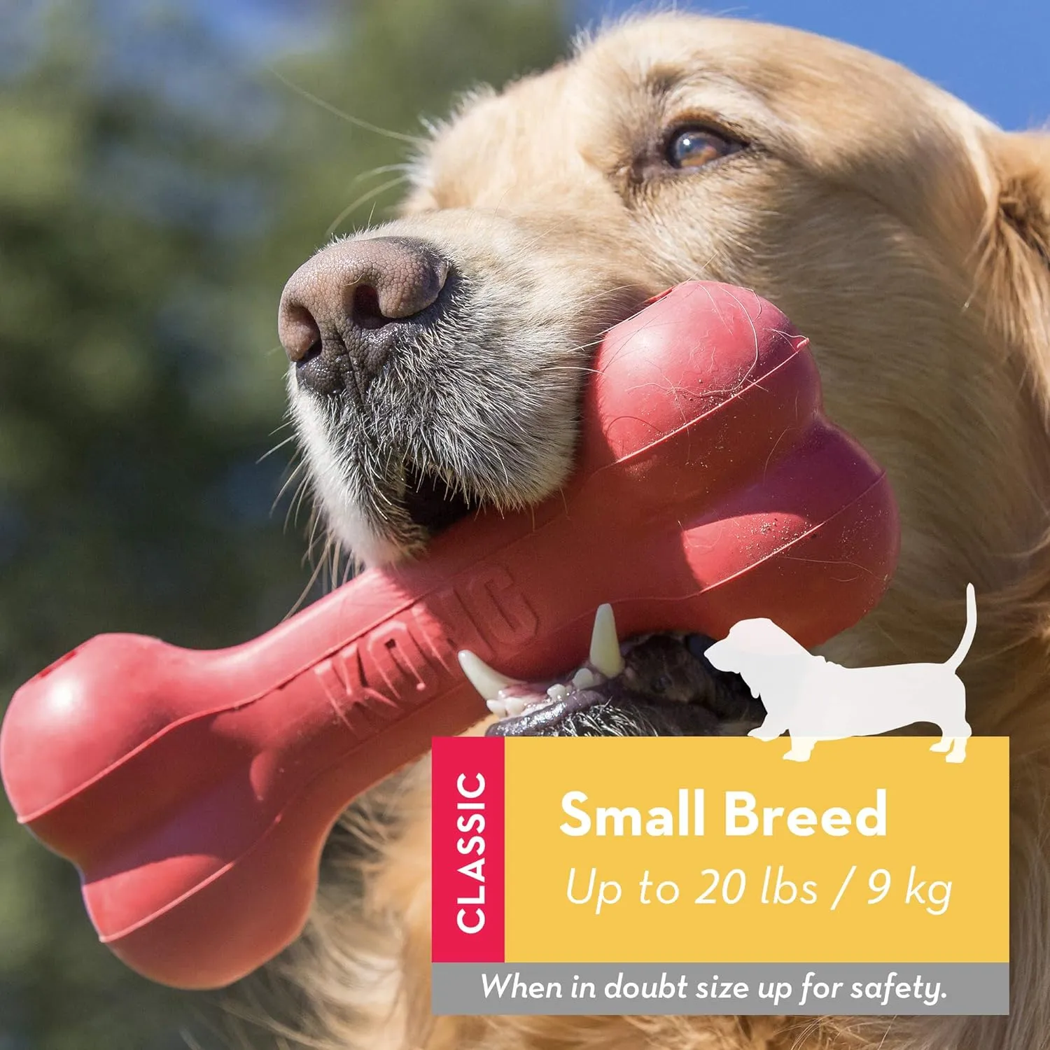 Kong Goodie Bone Dog Toy