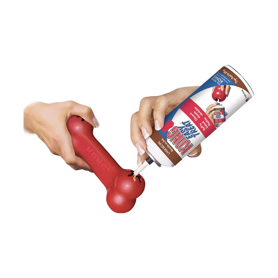 Kong Goodie Bone Dog Toy