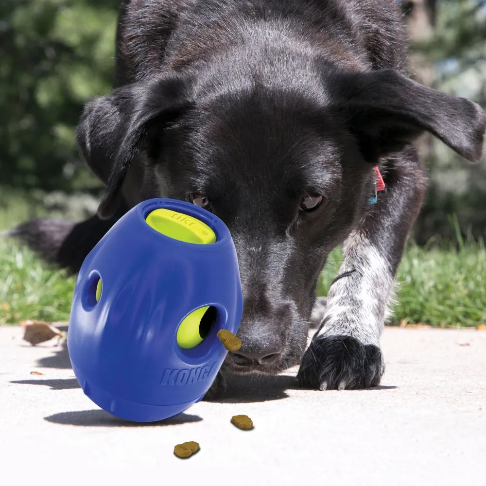 Kong Treat Dispensing Tikr