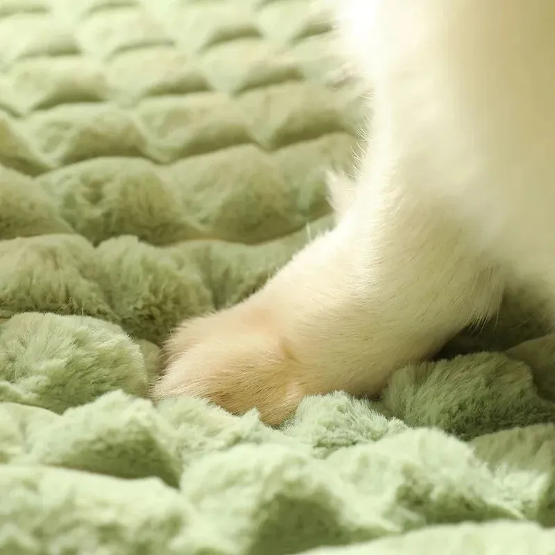 Luxury Sofa Washable Pet Bed