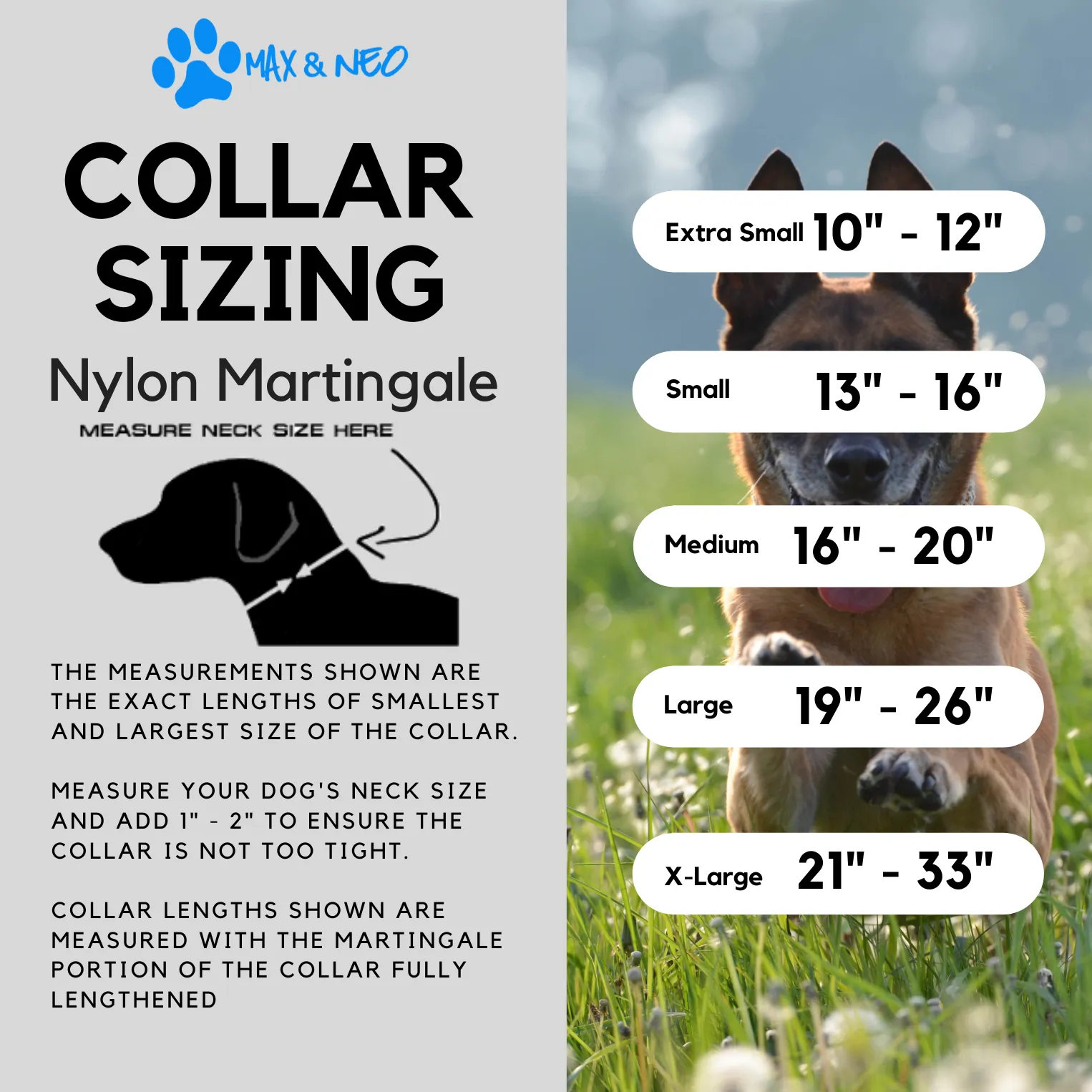 Martingale All Nylon XL Collar