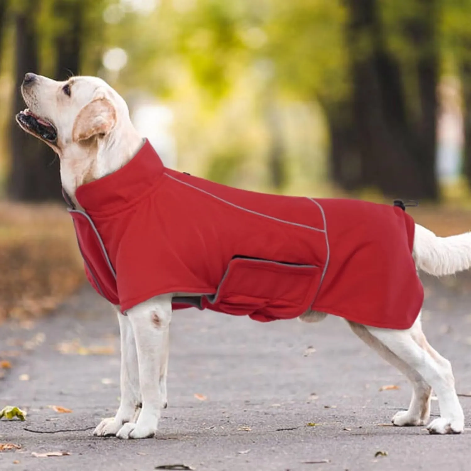 MIGOHI XXL Waterproof Dog Jacket - Winter Coat for Boys & Girls, Golden Retriever, Weimaraner, Red