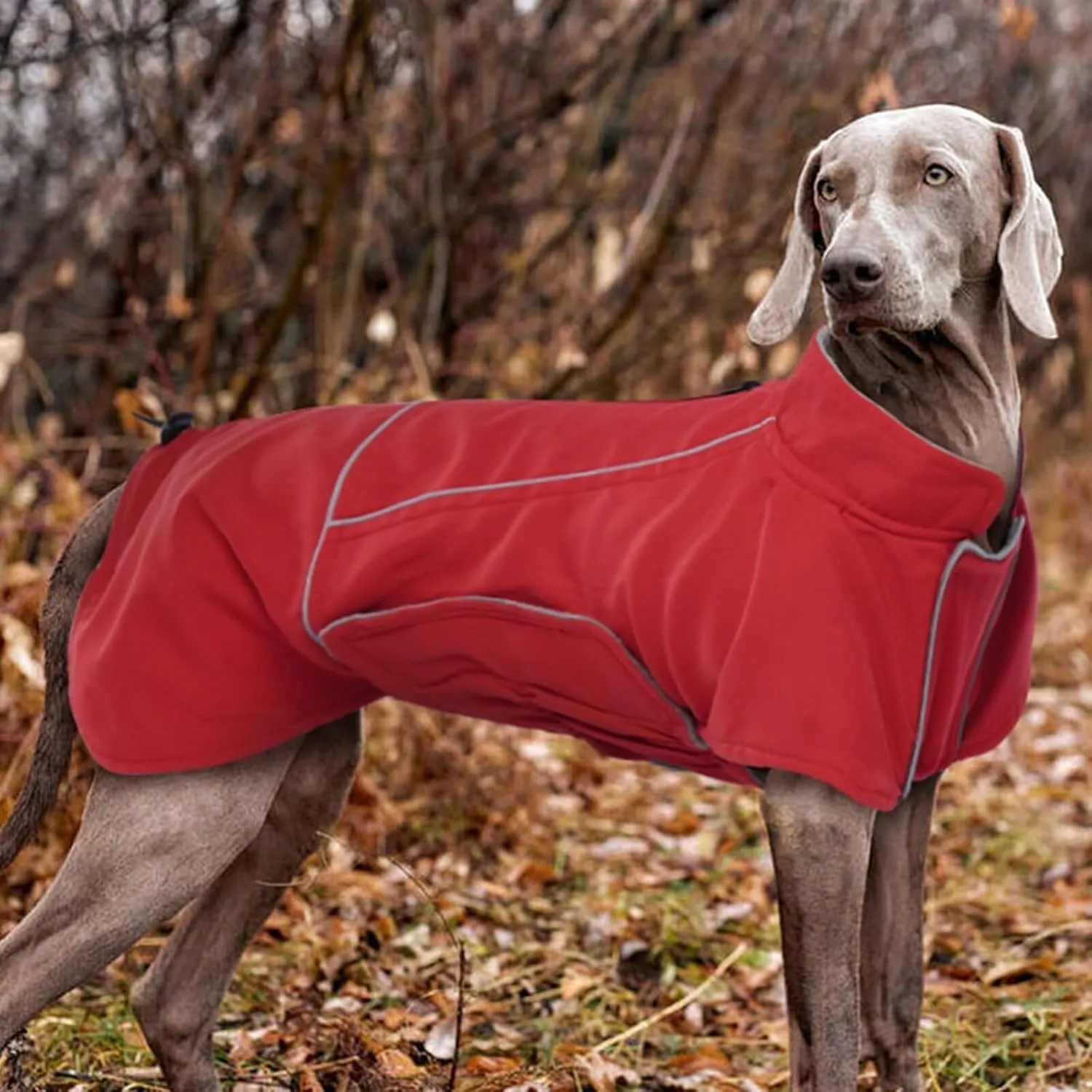 MIGOHI XXL Waterproof Dog Jacket - Winter Coat for Boys & Girls, Golden Retriever, Weimaraner, Red