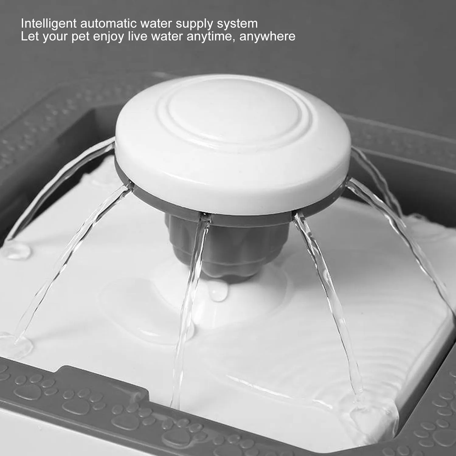 Modern Automatic Pet Drinking Fountain With High Capacity Bl-64