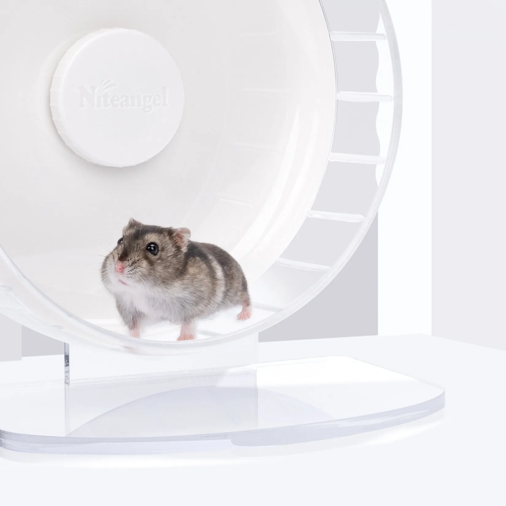 Niteangel Super-Silent Hamster Exercise Wheels