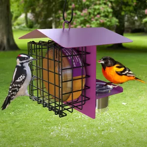 Novelty Peanut Butter & Jelly Feeder
