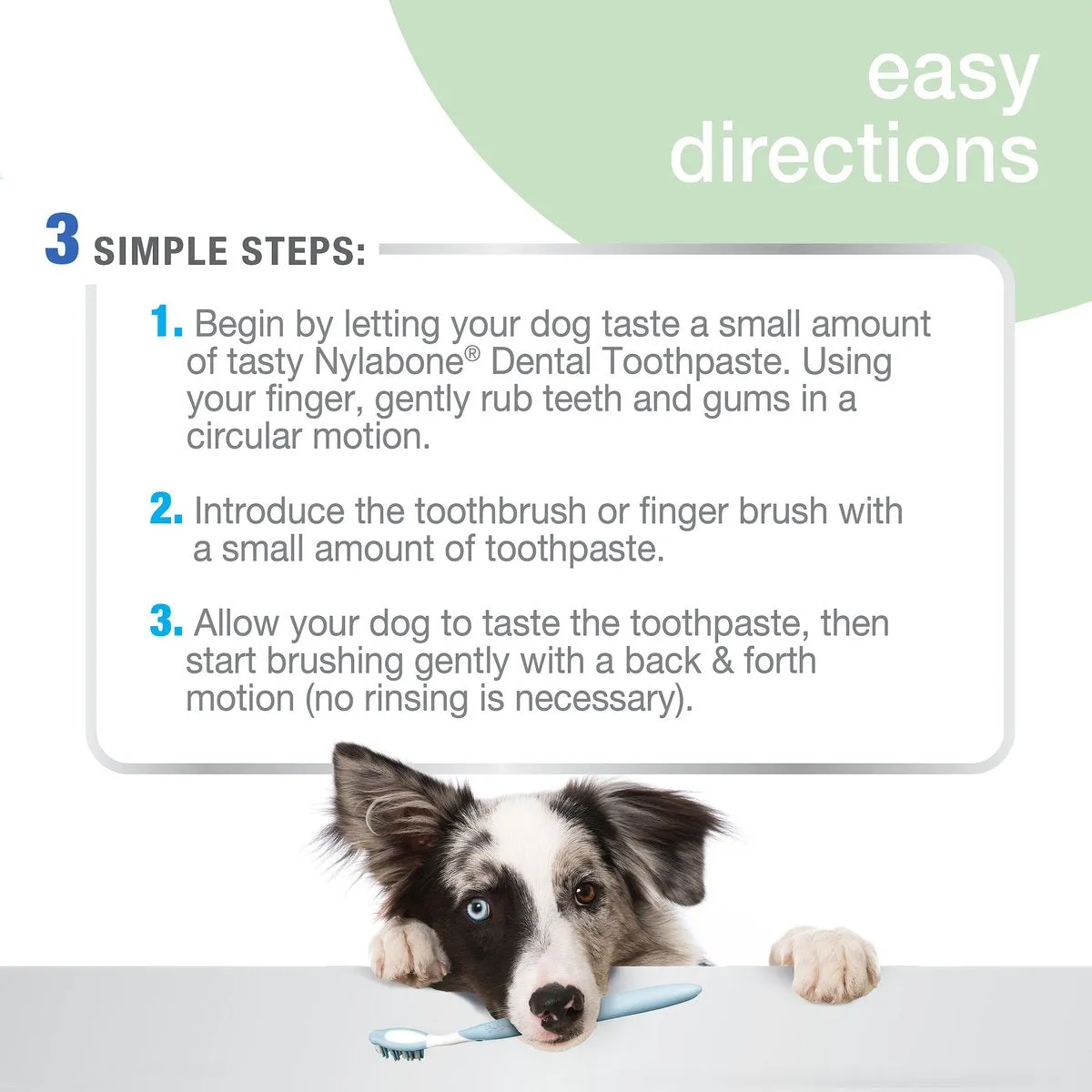 Nylabone Advanced Oral Care Natural Peanut Flavor Dog Toothpaste