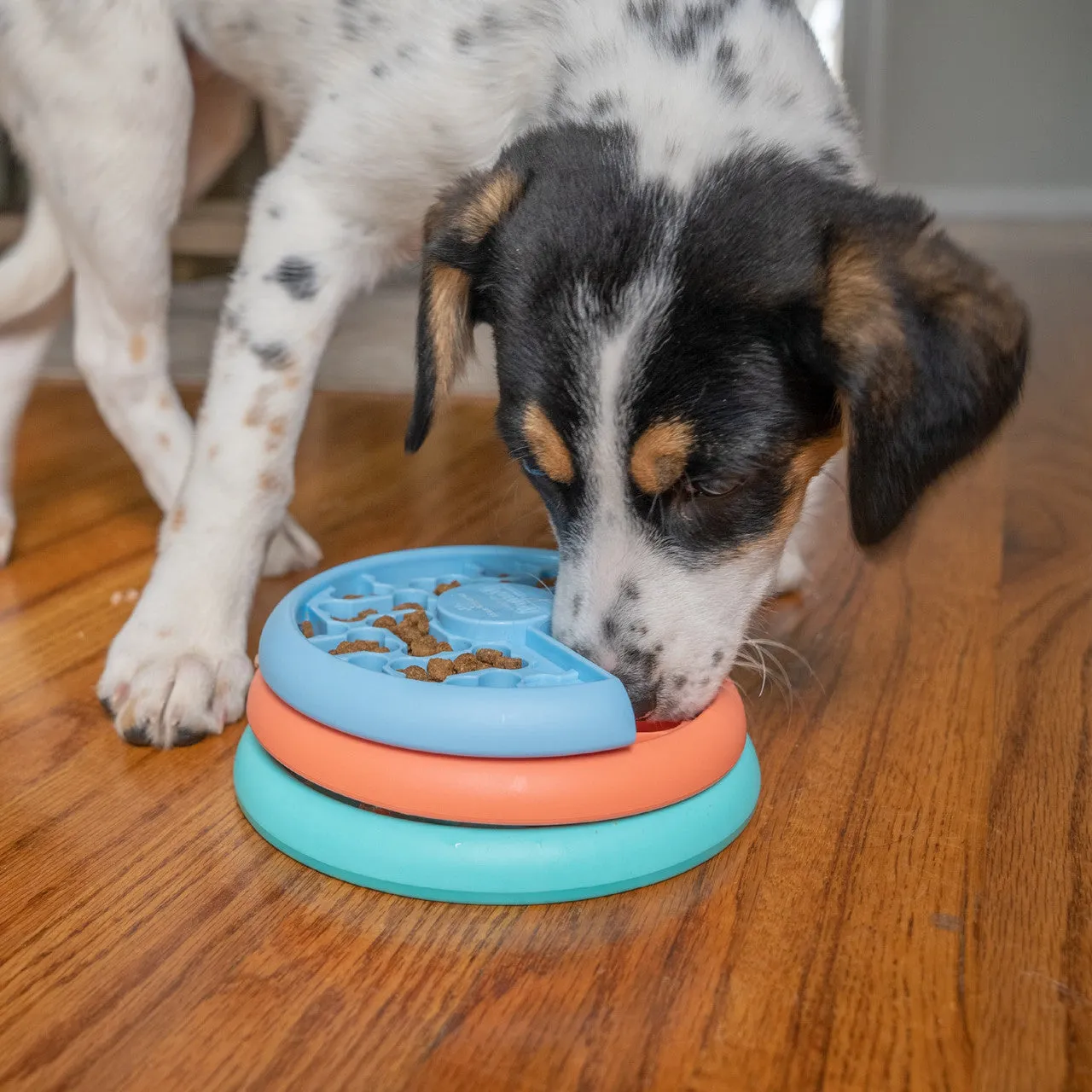 Outward Hound Puppy Lickin' Layers Puzzle Game