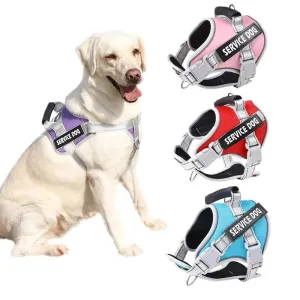 Personalized Reflective Nylon Dog Harness