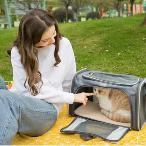 Pet Handbag With Locking Safety Zipper Carrier