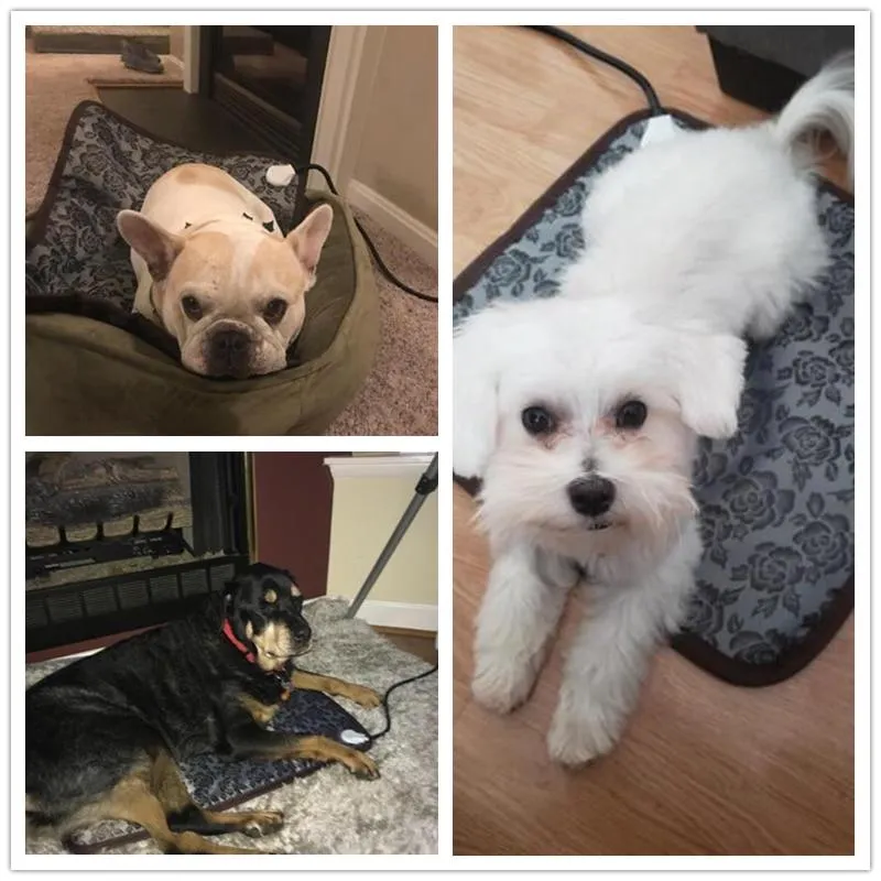 Pet Heating Pad - High/Low Temperature Control