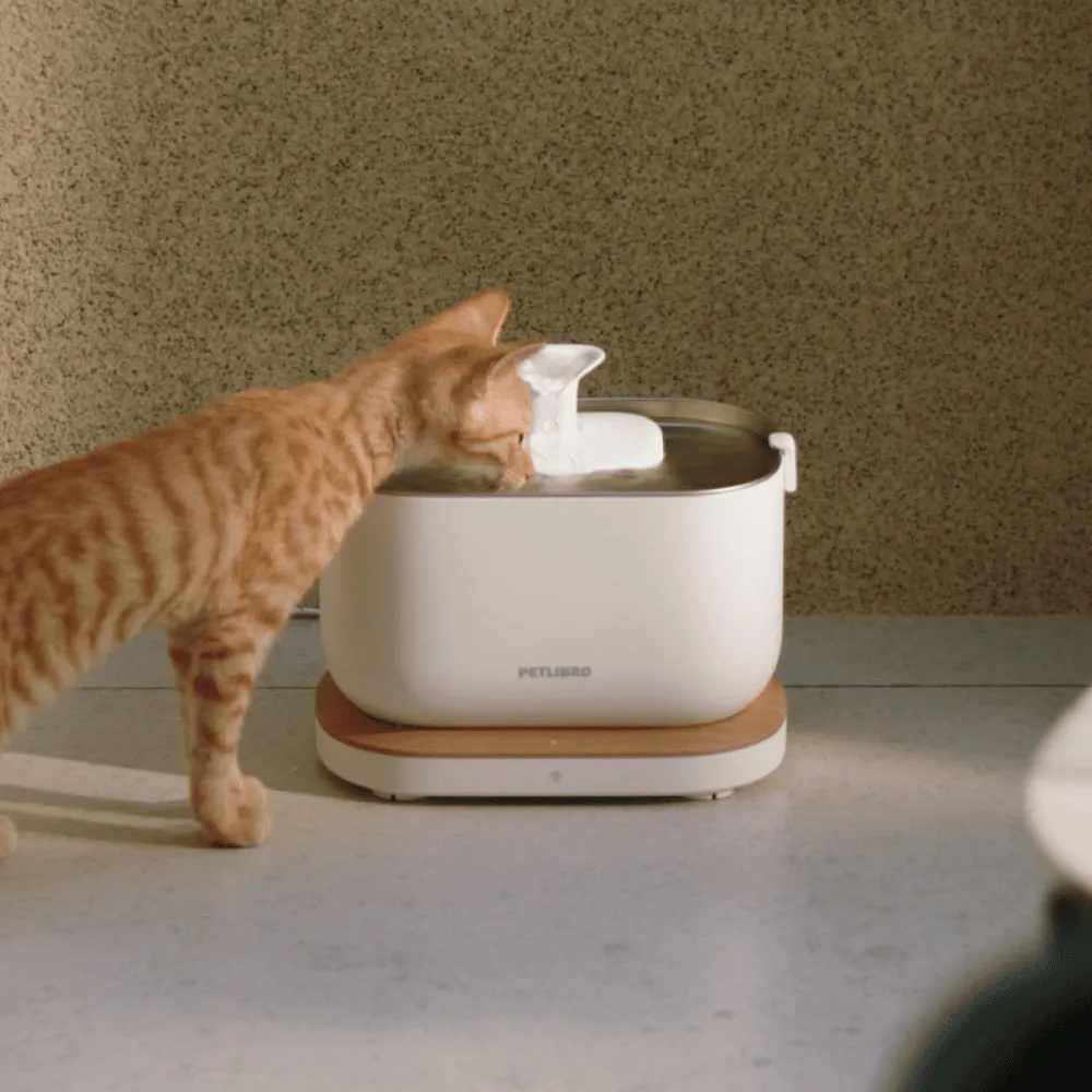 Petlibro Dockstream Smart Fountain