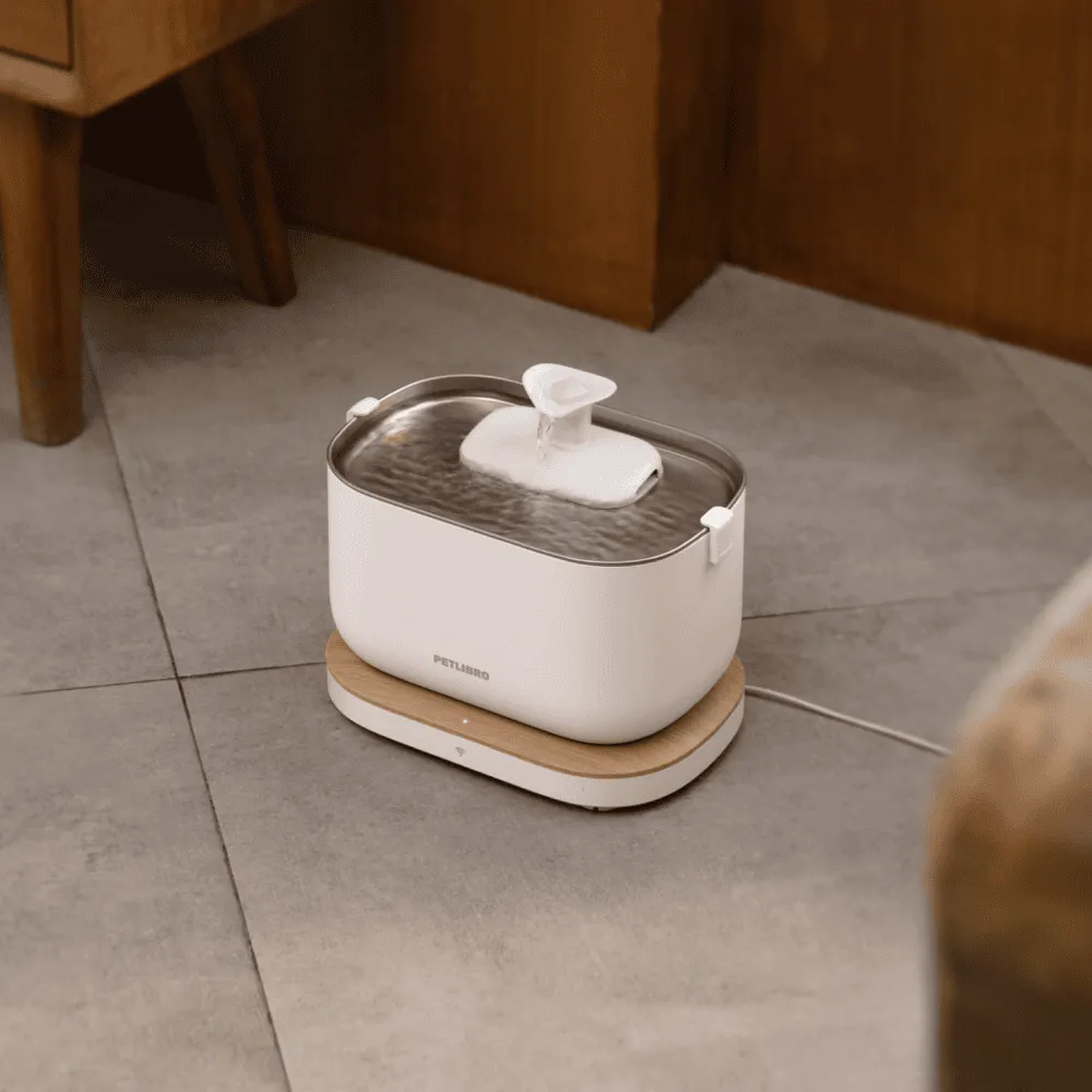 Petlibro Dockstream Smart Fountain