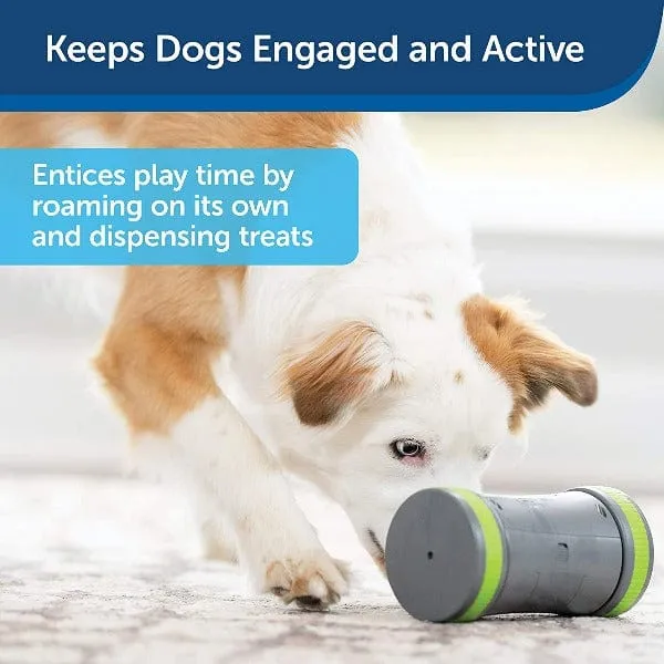 PetSafe Kibble Chase Roaming Treat Dispenser Dog Toy