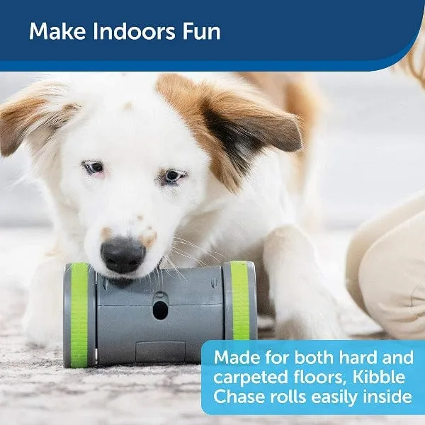 PetSafe Kibble Chase Roaming Treat Dispenser Dog Toy