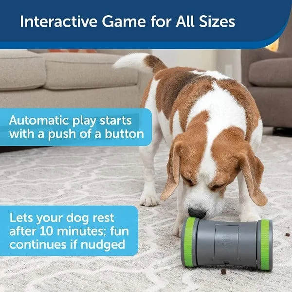 PetSafe Kibble Chase Roaming Treat Dispenser Dog Toy