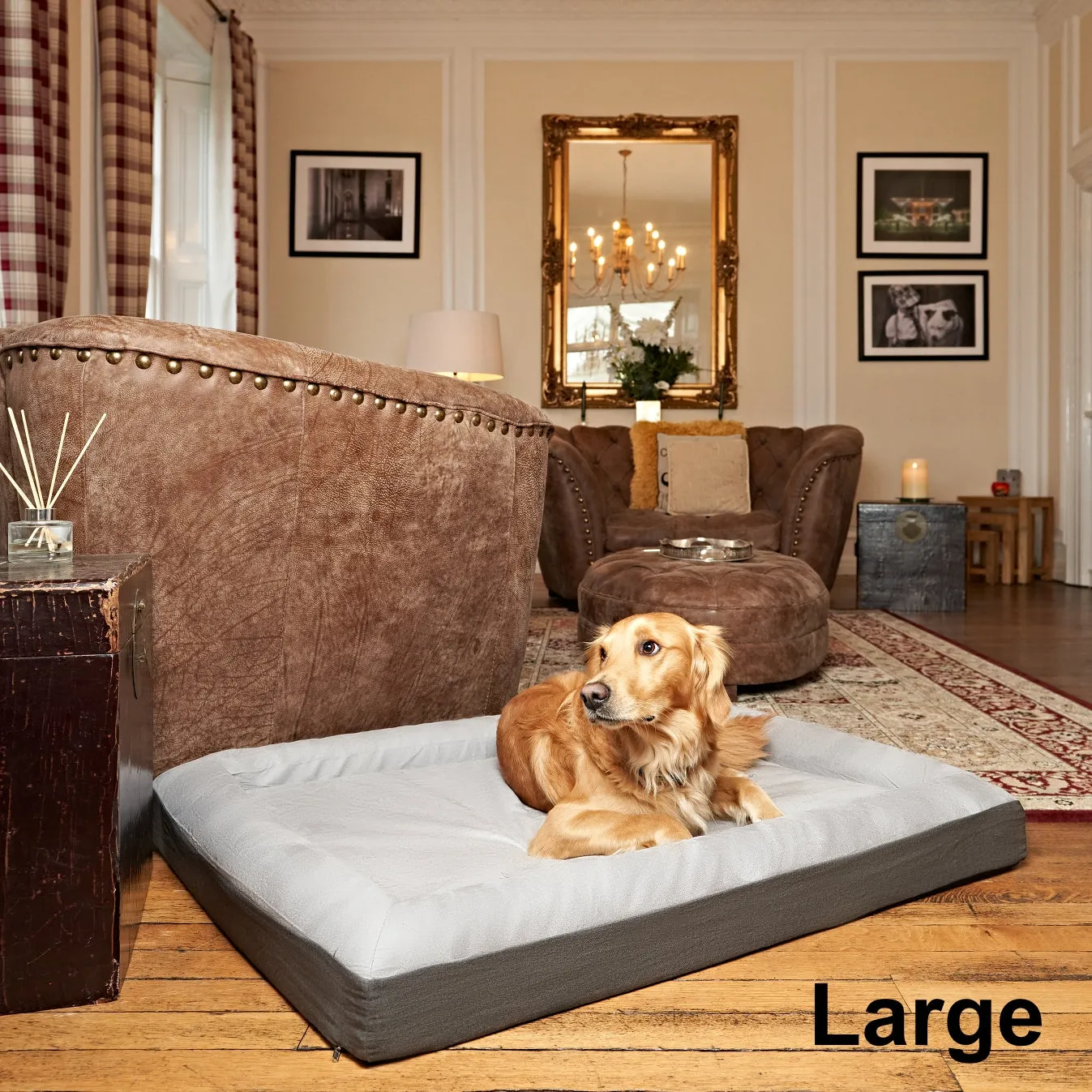 Premium Orthopaedic Memory Foam Dog Bed - Waterproof, Washable, Deluxe Finish