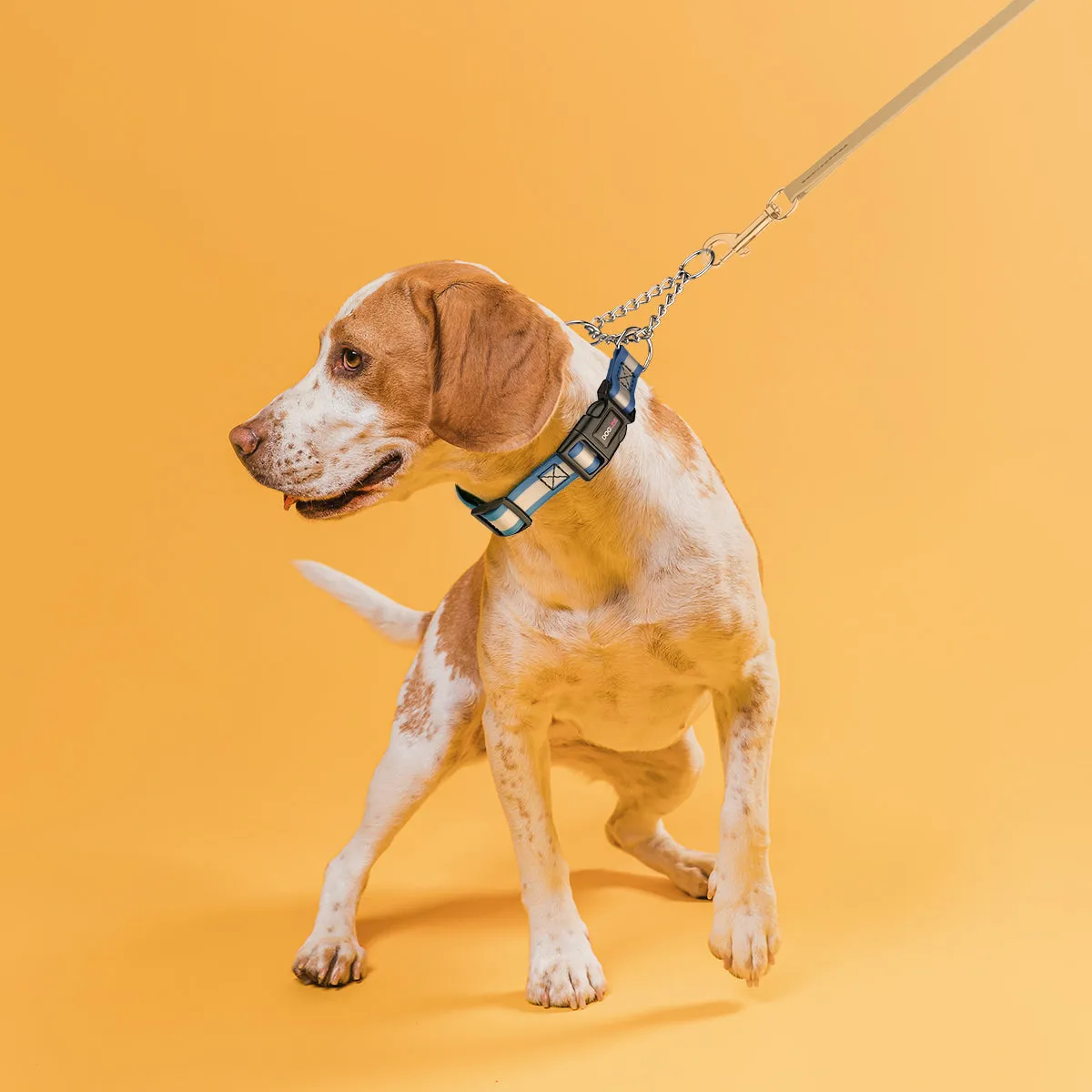 Reflective Biothane Martingale Collar with Quick Release Buckle