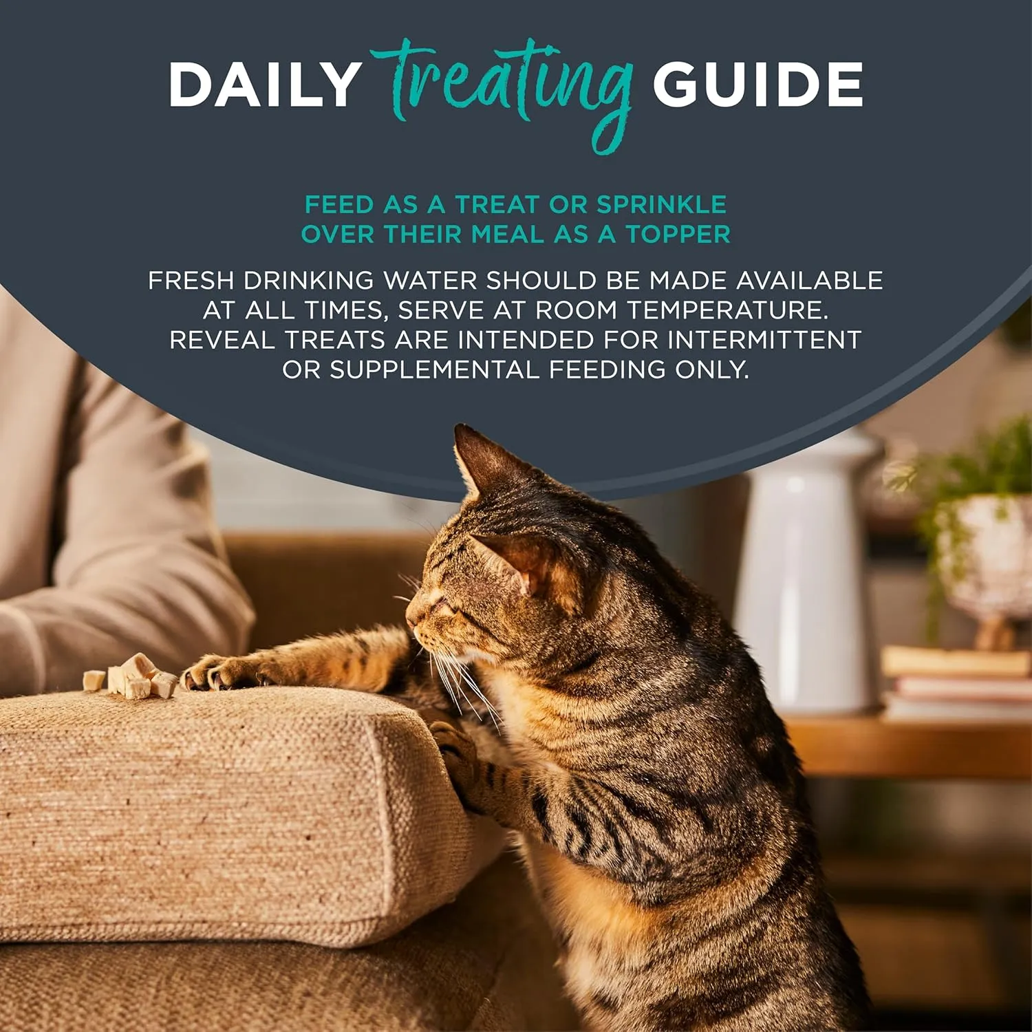 Reveal Natural Cat Treats, 12 Count, Single Ingredient Treat for Cats, Grain Free, Whole Tuna Loin, 1.06 oz Bags