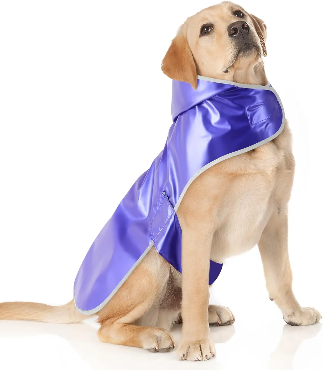 Reversible Dog Raincoat - Lightweight Dog Rain Jacket Hooded Rain Coats, Waterproof Pet Slicker Poncho for Small to XX- Large Dogs and Puppies (Green Blue, Small)