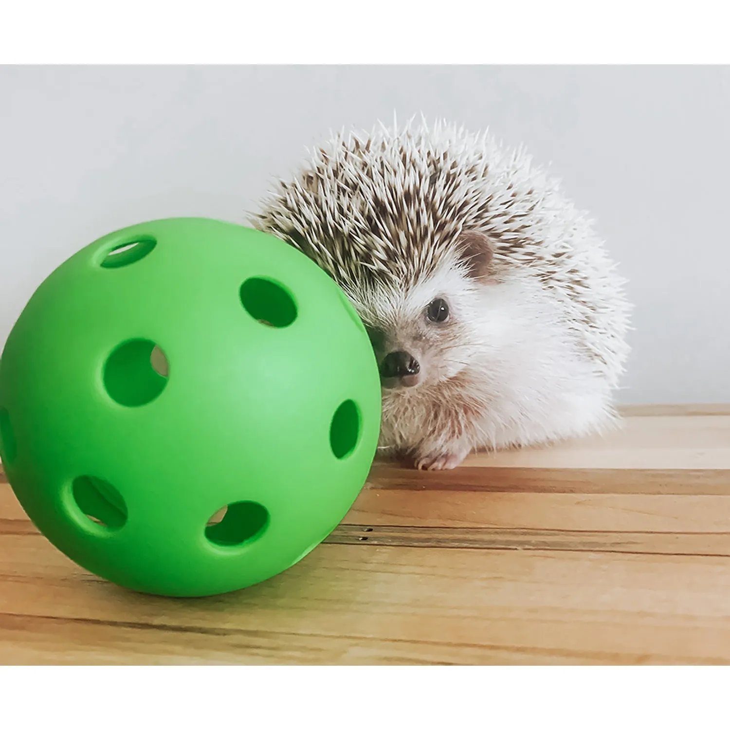 Rolling Toy Bundle